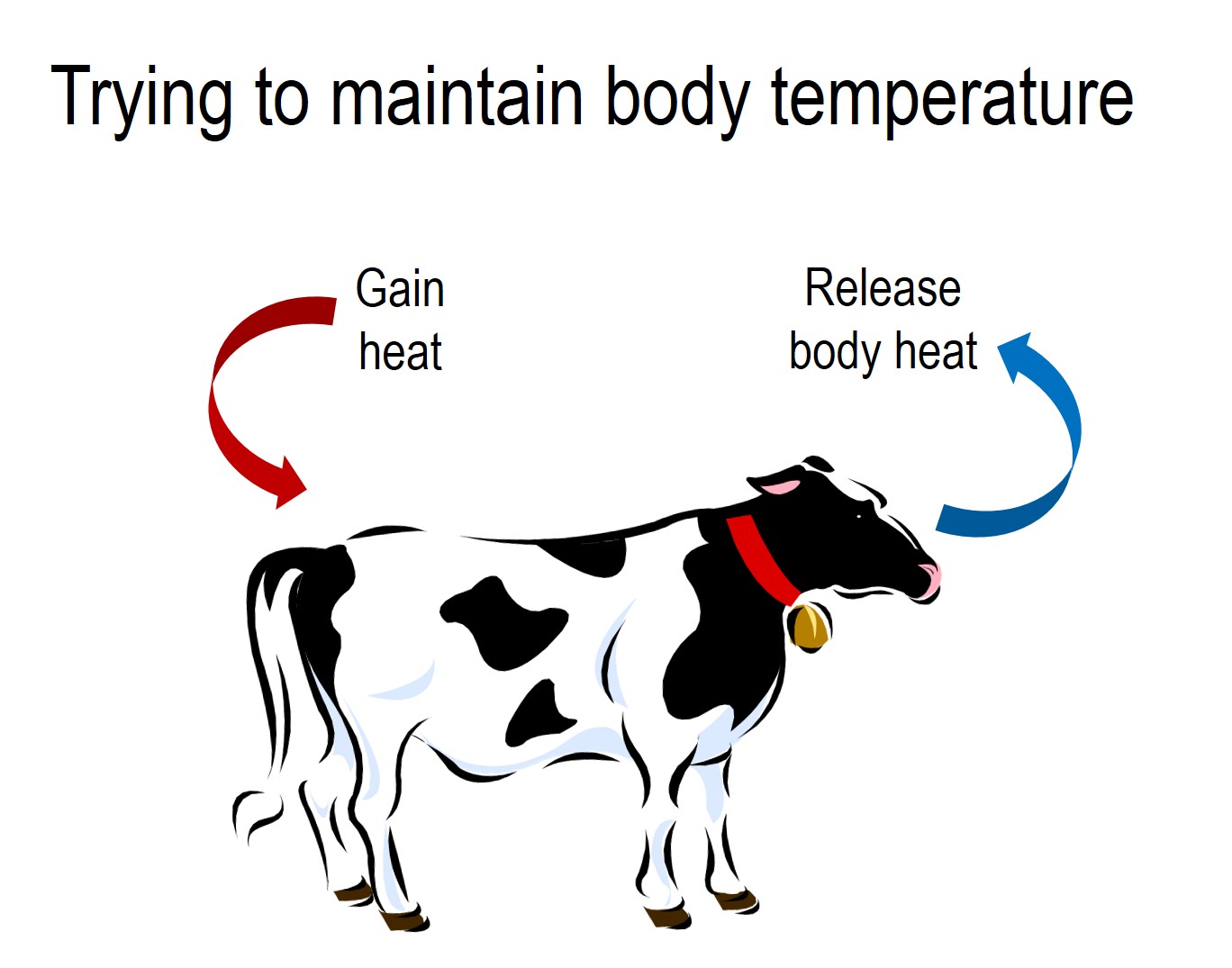 heat exchange
